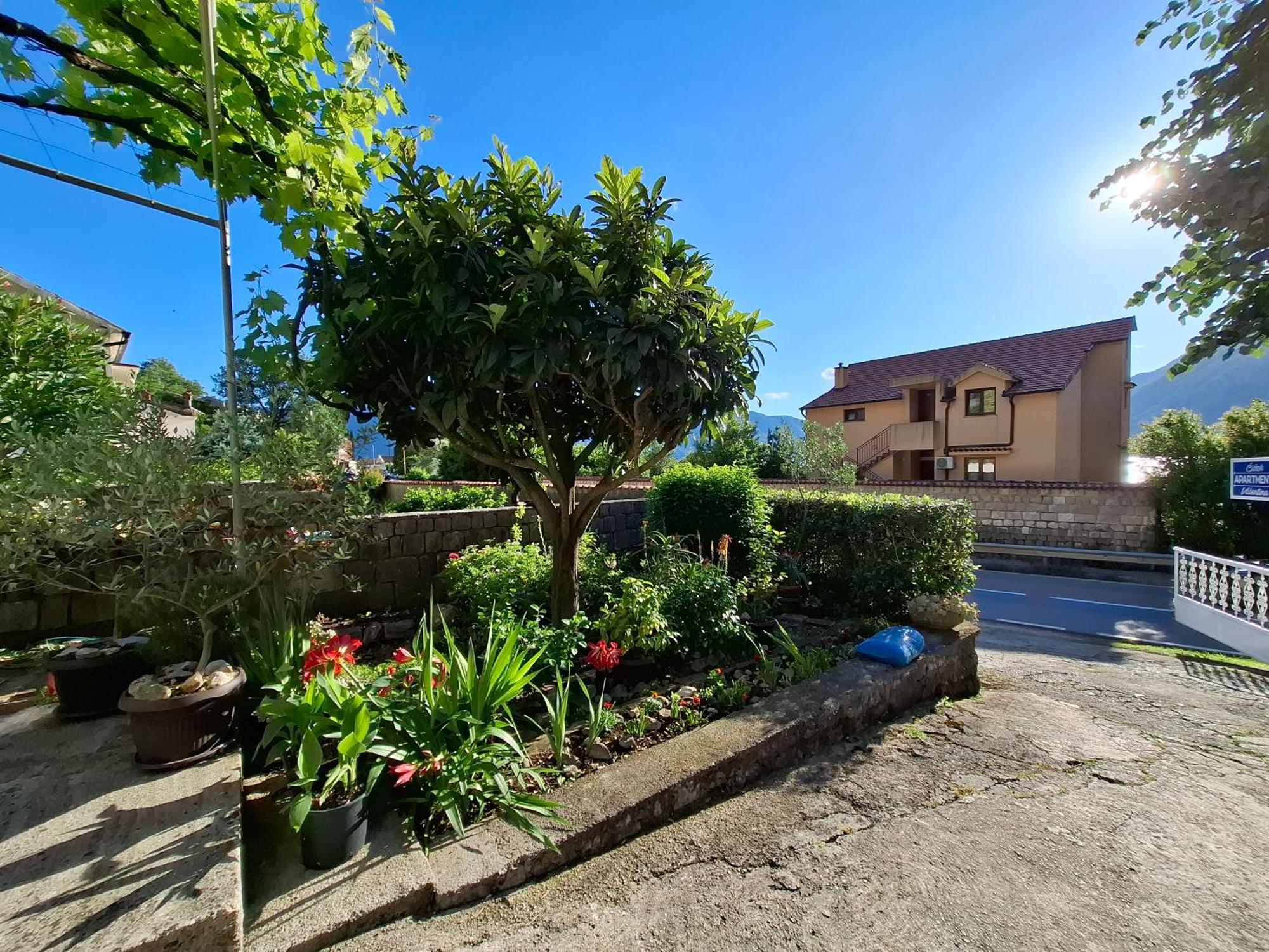 Apartment Cizek Kotor Zewnętrze zdjęcie